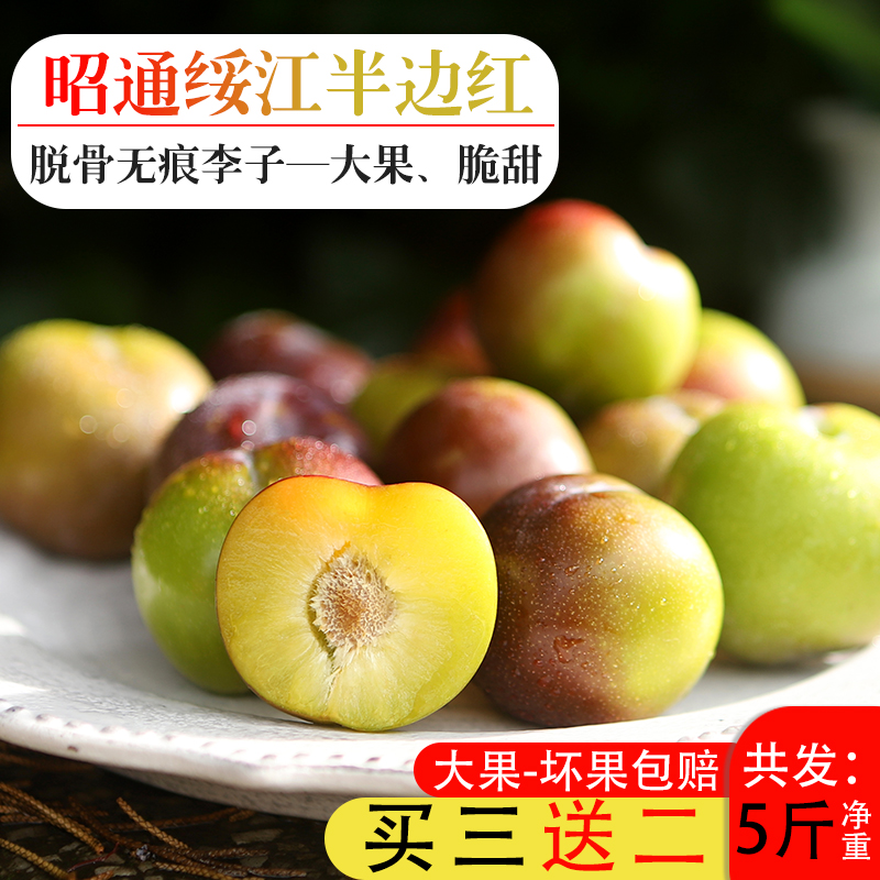 云南脱骨李脆甜李新鲜现摘现发时令水果半边红李子茵红李5斤大果|msdalam kategori daging perikanan/Buah-buahan segar dan sayur-sayuran/dimasak, buah-buahan segar, Li Zi - dari Buy2taobao.com untuk memberikan perkhidmatan ejen Taobao profesional membeli