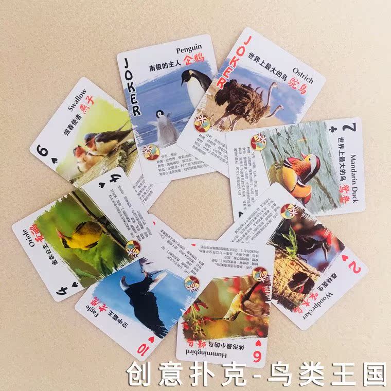 2019玩具扑克牌牌类益智 扑克牌儿童新款 儿童 幼儿 动物世界海洋在类目 模玩/动漫/周边/cos/桌游, 棋牌/桌游, 扑克中 - 来自Buy2taobao.com提供专业的淘宝代购服务