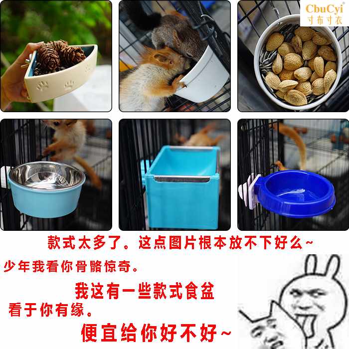松鼠龙猫小宠食盆锈钢食盆可固定陶瓷防咬饲养喂食易拆卸不锈钢|ruв категории животное/Животное питание и принадлежностей, хомяк класса и других малых животное, небольшой питомца принадлежностей (новая), чаша - от Buy2taobao.com для оказания профессиональной услуги покупки агента Taobao