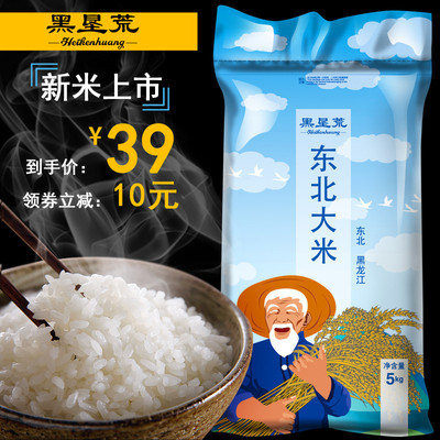 大米5kg 东北大米10斤长粒香北大荒当季新米煮饭香米非五常稻花香