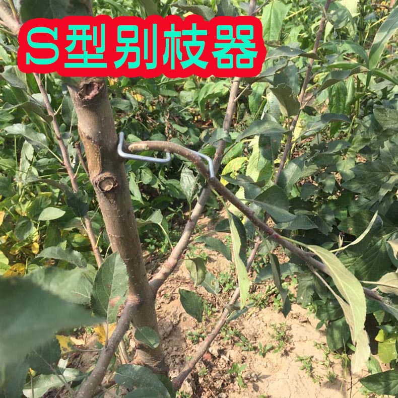 果树压枝器 苹果树拉枝器 别枝器开角器拨枝器折枝器多功能定型器|ruв категории сельскохозяйственной/сельскохозяйственные орудия/сельскохозяйственной пленки, сельскохозяйственные машины, лесной техники - от Buy2taobao.com для оказания профессиональной услуги покупки агента Taobao