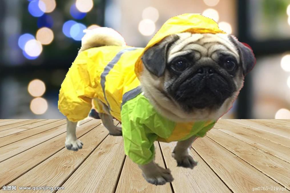 狗狗雨衣 中型四脚狗衣泰迪狗柯基防雨大狗宠物防水方便防雨衣|ruв категории животное/Животное питание и принадлежностей, одежды и аксессуаров для домашних животных, домашний костюм/плащ - от Buy2taobao.com для оказания профессиональной услуги покупки агента Taobao