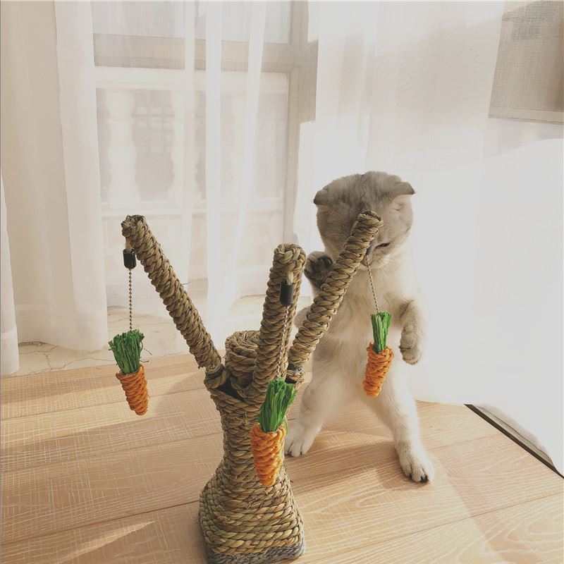 玩耍猫爬架柱子树形玩具攀爬猫咪胡萝卜宠物精致爬行磨牙户外百搭|msdalam kategori haiwan peliharaan/makanan haiwan dan bekalan, Cat/Mainan anjing, Cat Scratcher - dari Buy2taobao.com untuk memberikan perkhidmatan ejen Taobao profesional membeli