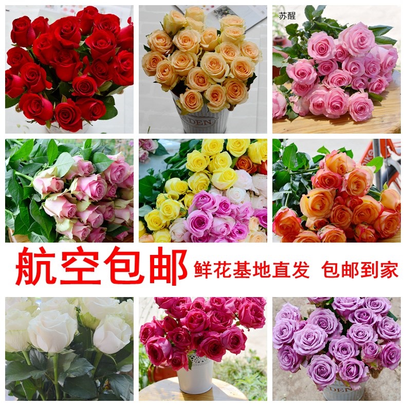 bulk household flower Water to keep flower arrangement Bouquet of flowers water Mix and match Green plant family rose 11in the Flower delivery/Flowers simulation/Plants gardening , Flower delivery(City) category - from Buy2taobao.com to provide professional Taobao agent buy service