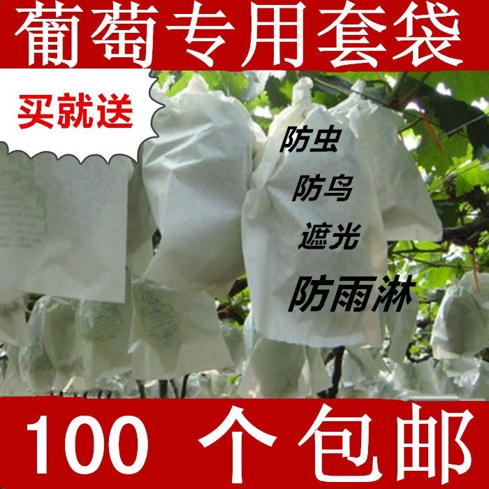 grape Fruit bag fruit Bagging Fruit Bag Fruit tree grape Bag Bird Pest controlin the Flower delivery/Flowers simulation/Plants gardening , Gardening supplies , Other Garden Supplies category - from Buy2taobao.com to provide professional Taobao agent buy service
