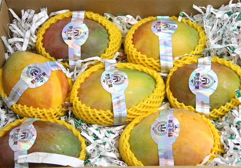 带箱6斤新鲜野生香妃芒果礼盒装四川凯特芒果大芒果香甜多汁多省|ruв категории водной мясо/свежие фрукты и овощи/еда, свежие фрукты, манго - от Buy2taobao.com для оказания профессиональной услуги покупки агента Taobao
