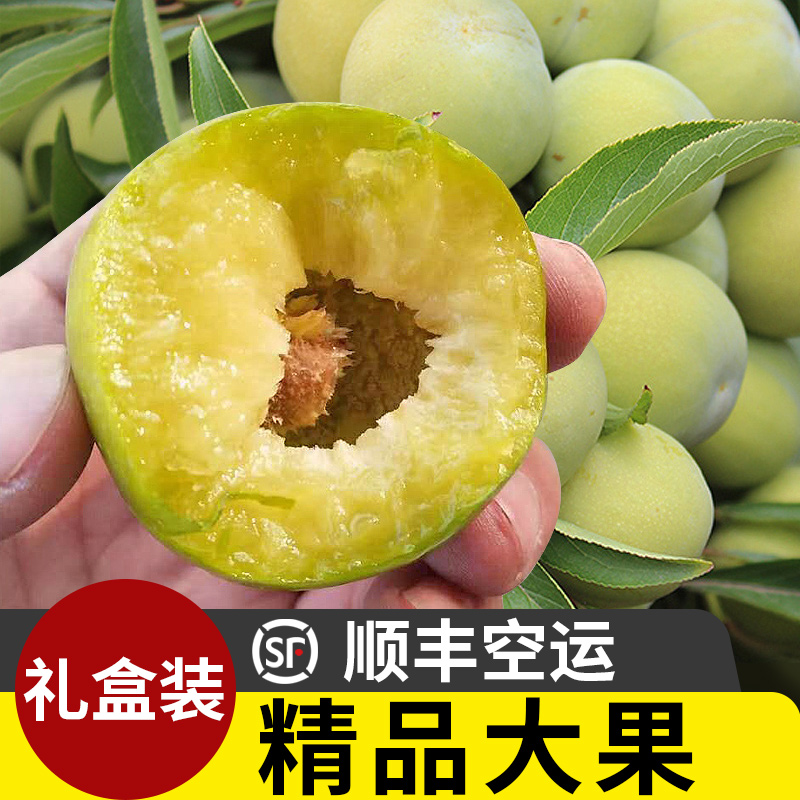 重庆巫山脆李4斤顺丰空运新鲜水果空心脱骨清脆李青巫山李子四川|ruв категории водной мясо/свежие фрукты и овощи/еда, свежие фрукты, слива - от Buy2taobao.com для оказания профессиональной услуги покупки агента Taobao