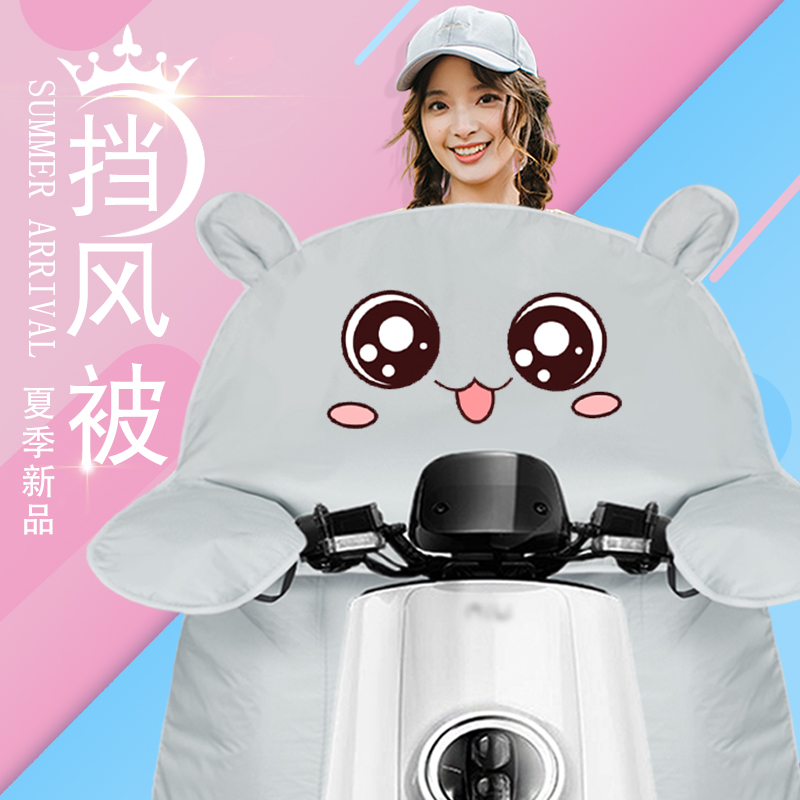 电动电瓶摩托车挡风被夏季专用防晒防挡风罩电车遮阳防水薄款夏天在类目 电动车/配件/交通工具, 电动车装备区, 电动车挡风被中 - 来自Buy2taobao.com提供专业的淘宝代购服务