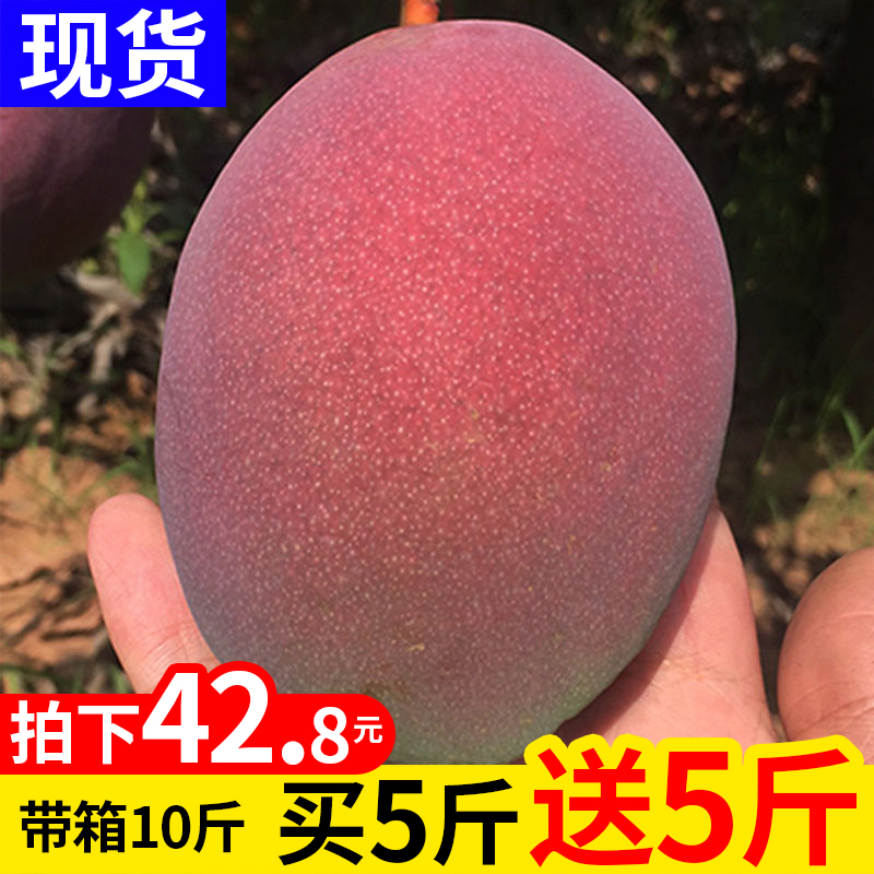 goods in stock Sichuan Province Panzhihua Mango 10 fresh fruit Season Season Season Zill Apple Mangoin the Aquatic meat/Fresh fruits and vegetables/Cooked , Fresh fruit , Mango category - from Buy2taobao.com to provide professional Taobao agent buy service
