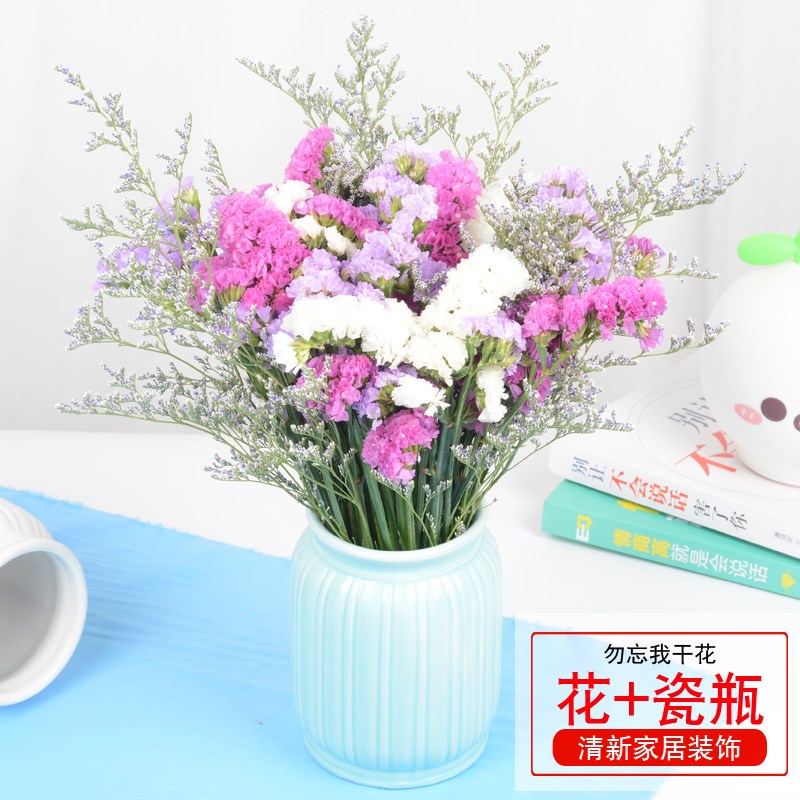 【含陶瓷花瓶】勿忘我干花花束装饰摆件真花满天星天然风干鲜花在类目 鲜花速递/花卉仿真/绿植园艺, 永生花/干花, 干花中 - 来自Buy2taobao.com提供专业的淘宝代购服务