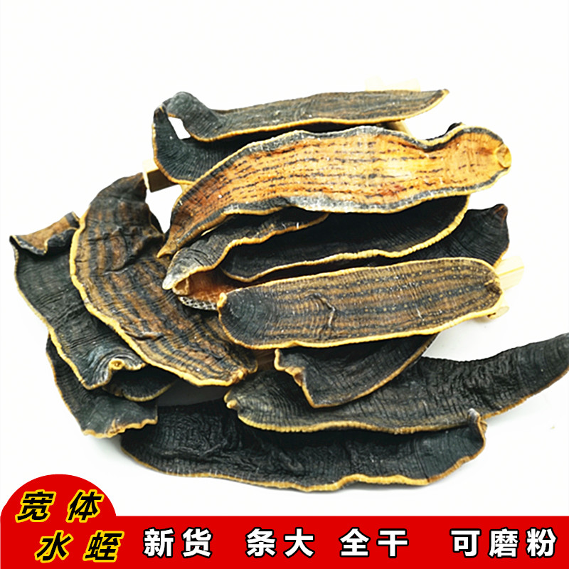 楚桂园野生水蛭100g 蚂蟥宽体金线蛭可磨粉非吊干水蛭售全虫蜈蚣|msdalam kategori makanan berkhasiat tradisional, Lain tonik tradisional, Lain tonik tradisional - dari Buy2taobao.com untuk memberikan perkhidmatan ejen Taobao profesional membeli