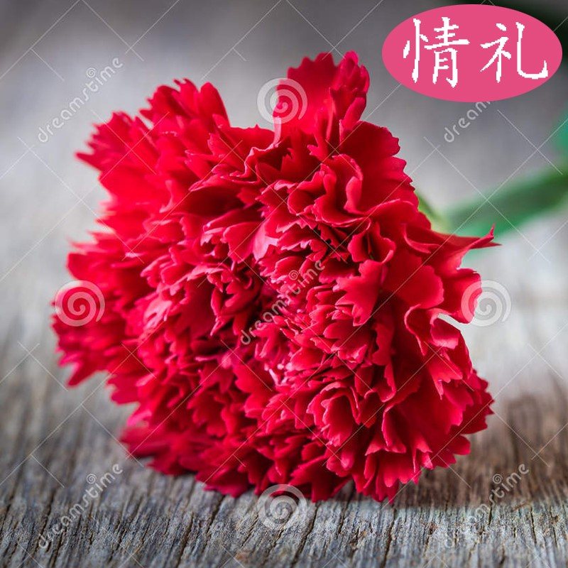 云南昆明鲜花康乃馨20支教师节花束生日包邮全国速递同城配送在类目 鲜花速递/花卉仿真/绿植园艺, 鲜花速递(同城)中 - 来自Buy2taobao.com提供专业的淘宝代购服务