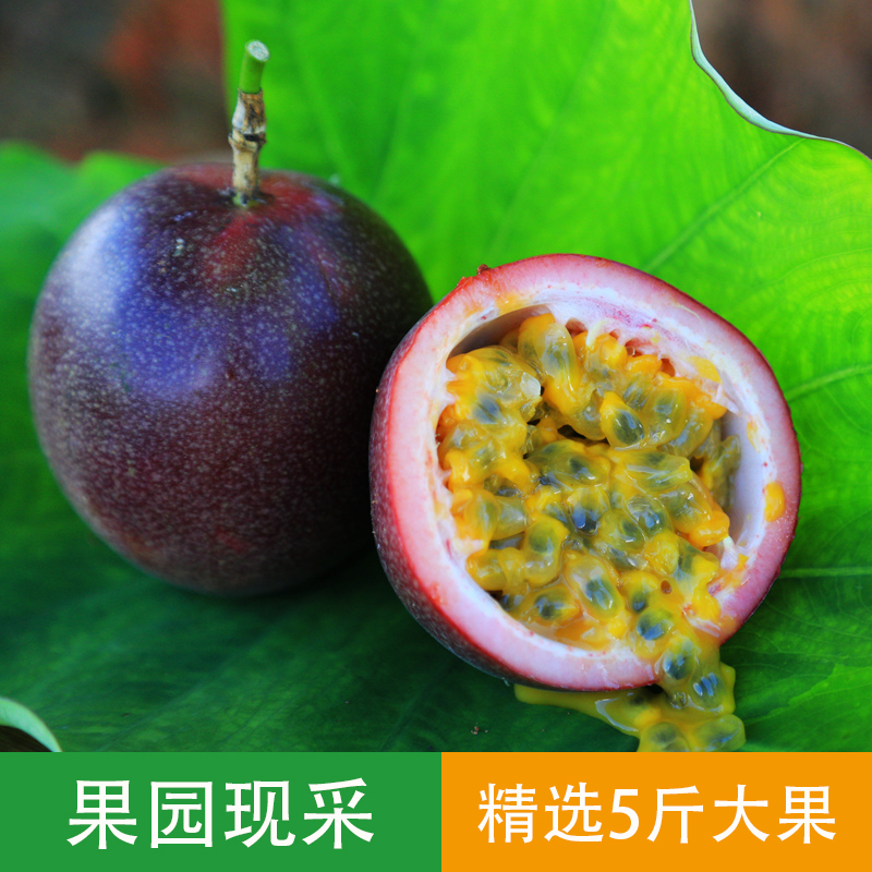 Yunnan Orchard Straight hair 5 fresh Passion fruitin the Aquatic meat/Fresh fruits and vegetables/Cooked , Fresh fruit , Passion Fruit category - from Buy2taobao.com to provide professional Taobao agent buy service