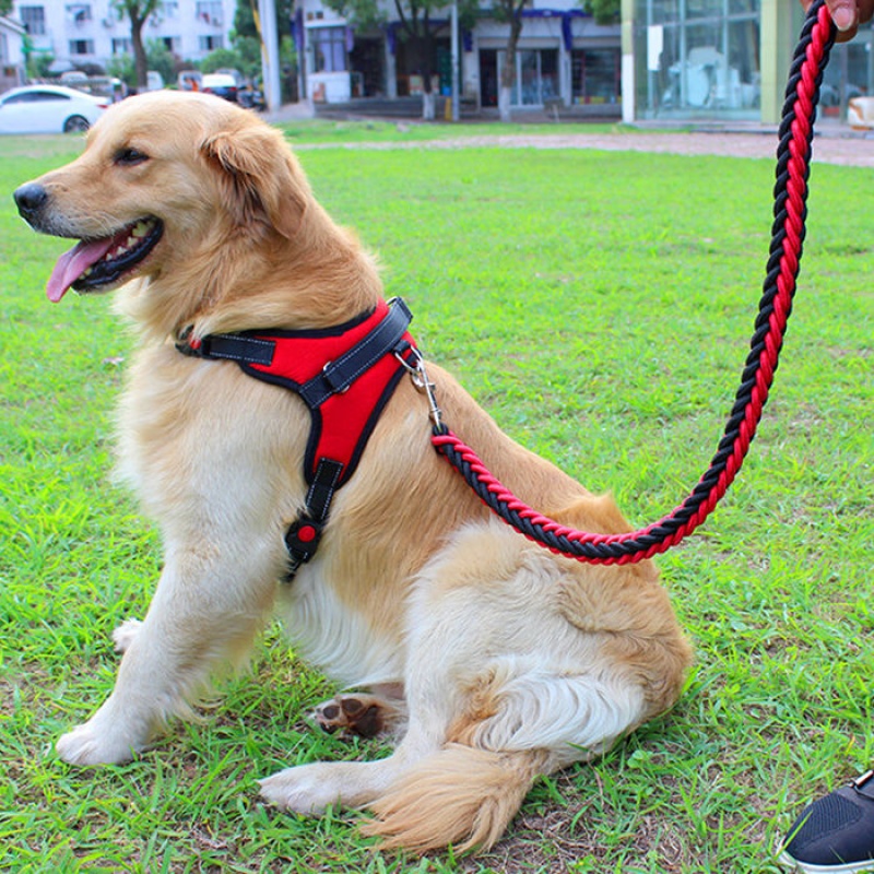 金毛狗链子胸背带狗狗牵引绳大型犬牵狗绳子中型犬拉布拉多拴狗绳|msdalam kategori haiwan peliharaan/makanan haiwan dan bekalan, Haiwan pakaian dan aksesori, Aksesori lain-lain - dari Buy2taobao.com untuk memberikan perkhidmatan ejen Taobao profesional membeli