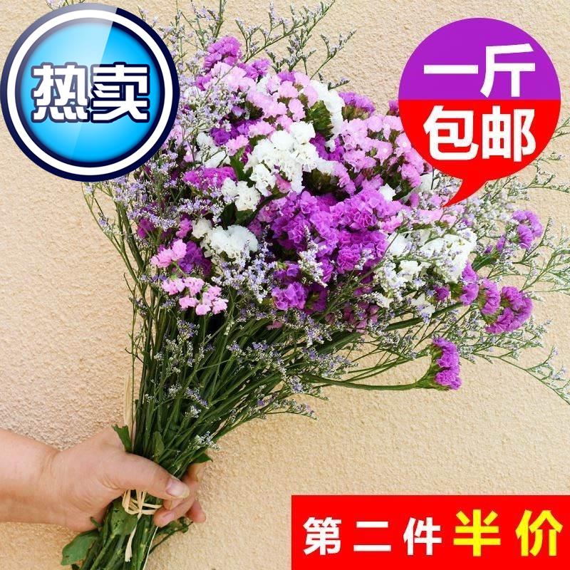 云南勿忘我情人草真花干花花束家居摆设小清新客厅插花发批论斤称|msdalam kategori Aksesori rumah, pasu/bunga/bunga tiruan/perhiasan imitasi, bunga kering/Petal/pakej bunga kering/ranting kering - dari Buy2taobao.com untuk memberikan perkhidmatan ejen Taobao profesional membeli