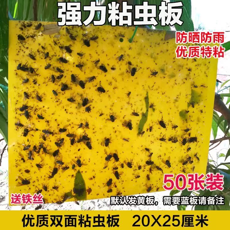 双面粘虫板黄色诱虫板防水蓝板蔬菜温室大棚小黑飞果实蝇苍蝇包邮|msdalam kategori rumah harian, bekalan deworming, Flypaper - dari Buy2taobao.com untuk memberikan perkhidmatan ejen Taobao profesional membeli