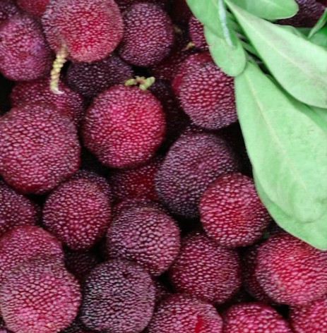 Bayberry Yunnan Fresh 4 Place of Origin Supplying That day Big tree Bayberry goods in stockin the Aquatic meat/Fresh fruits and vegetables/Cooked , Fresh fruit , Other category - from Buy2taobao.com to provide professional Taobao agent buy service