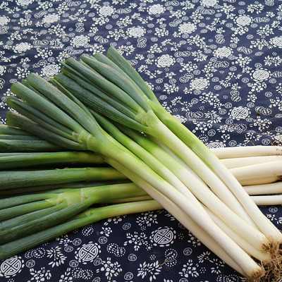 新鲜大葱5斤安丘铁杆大葱甜葱白嫩葱非章丘大葱农家自种蔬菜五斤