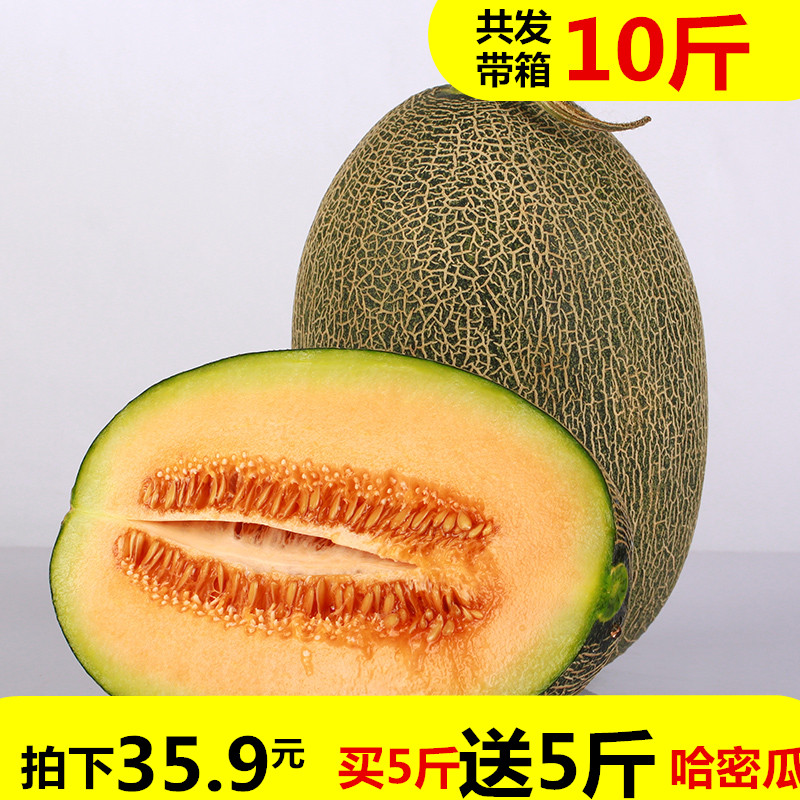 西州蜜瓜哈密瓜网纹瓜甜脆新鲜水果包邮当季整带箱10斤|msdalam kategori daging perikanan/Buah-buahan segar dan sayur-sayuran/dimasak, buah-buahan segar, Cantaloupe - dari Buy2taobao.com untuk memberikan perkhidmatan ejen Taobao profesional membeli