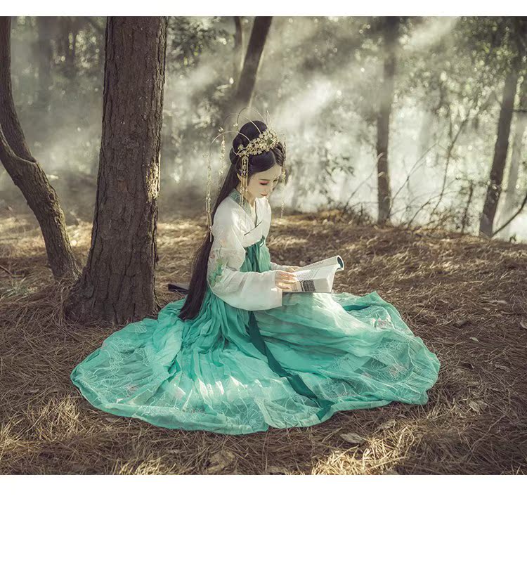 般若齐胸襦裙改良汉服女春夏秋装莲花荷叶非古装重工大摆裙汉服|ruв категории Женская одежда, костюм/национальная одежда/театр костюм, национальная одежда/этап погрузки - от Buy2taobao.com для оказания профессиональной услуги покупки агента Taobao