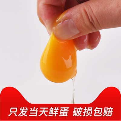 【彩云之吻】五谷蛋 A级别鲜鸡蛋16枚装红皮鸡蛋破损包赔当日鲜蛋