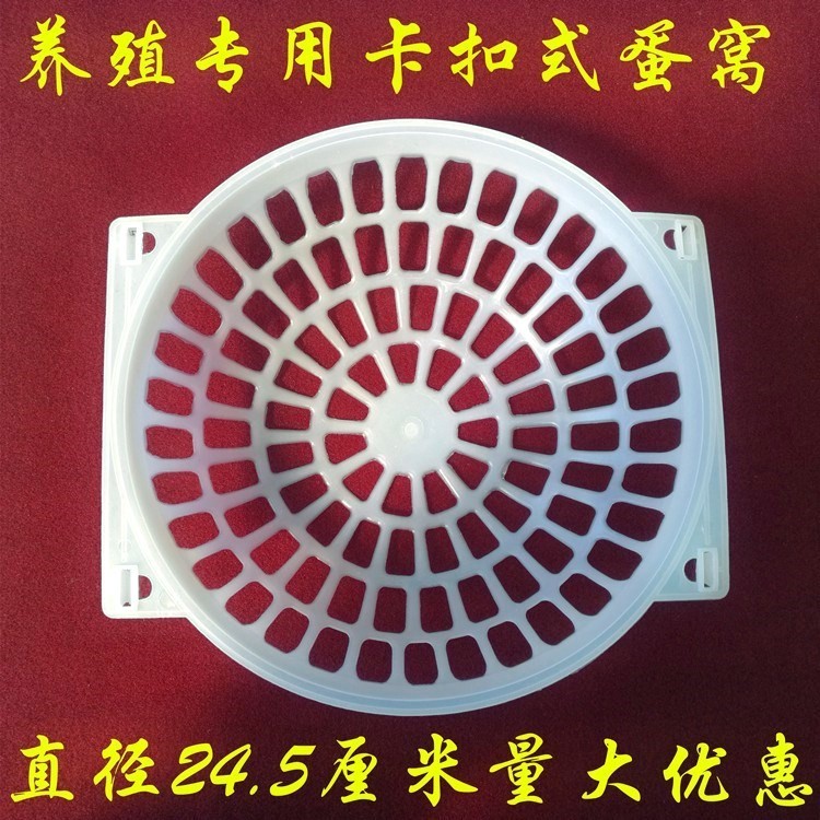 包边垫子孵蛋鸽子食盒防撒锁边家鸽养殖场加大新品框窝四季饮水碗在类目 宠物/宠物食品及用品, 鸟类及用品, 鸟用具(新), 其他中 - 来自Buy2taobao.com提供专业的淘宝代购服务
