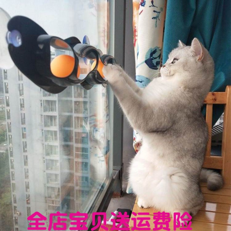 抖音同款貓吸盤軌道球玩具牆面玩具逗貓波浪球型娛樂貓玩具窗在類目 寵物/寵物食品及用品, 貓/狗玩具, 其它玩具中 - 來自Buy2taobao.com提供專業的淘寶代購服務