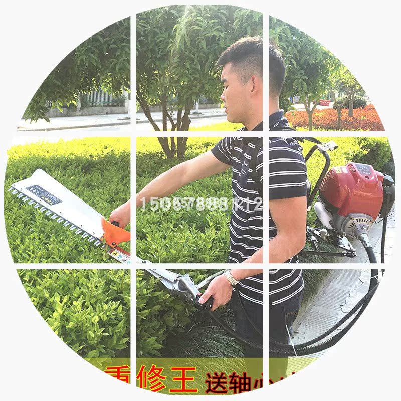 四冲程剪茶叶修剪机茶树背负式绿篱汽油采茶机器多功能松割草机|ruв категории доставка цветов/цветок моделирования/растения садоводства, садовых принадлежностей, косилка/газонокосилка - от Buy2taobao.com для оказания профессиональной услуги покупки агента Taobao