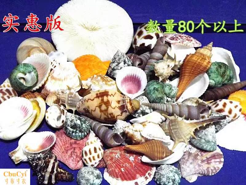 包邮天然海螺贝壳海星寄居螺鱼缸造景地台墙贴拍摄道具创意玩具|ruв категории Домашний быт, творческие украшения, густой/раковина/кораллы - от Buy2taobao.com для оказания профессиональной услуги покупки агента Taobao