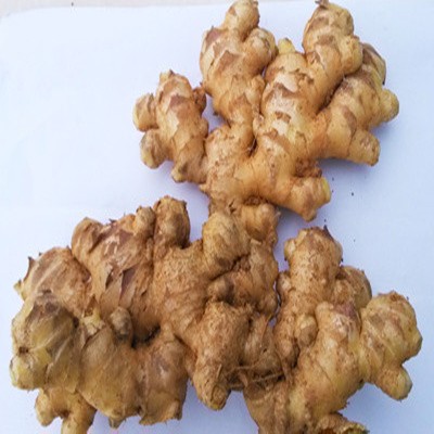 带箱5斤装广西小黄姜 新鲜蔬菜|ruв категории водной мясо/свежие фрукты и овощи/еда, свежие овощи/овощной продукции, имбирь - от Buy2taobao.com для оказания профессиональной услуги покупки агента Taobao