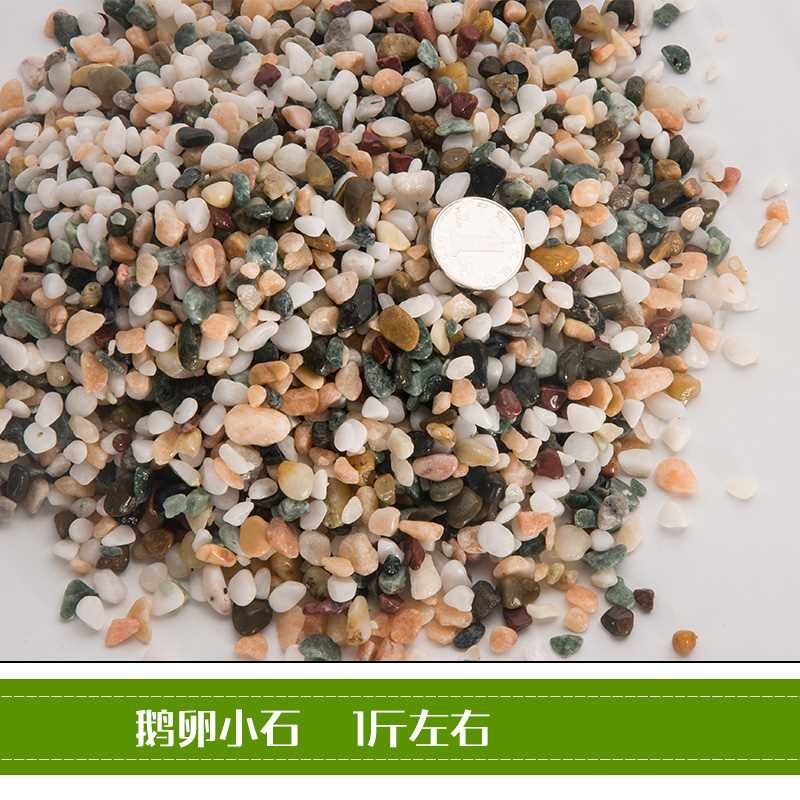 fish tank Pebble decorate Bottom sand Landscaping Succulent plants Paved colour Pebble Aquarium decorate Bottom sandin the Pet/Pet food and supplies , Aqua World , Aquarium fish tanks and other equipment , Landscaping/Decoration category - from Buy2taobao.com to provide professional Taobao agent buy service
