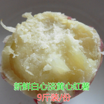 农家水果新鲜白心红薯蔬菜板栗薯10现挖白瓤地瓜黄心山芋带箱9斤