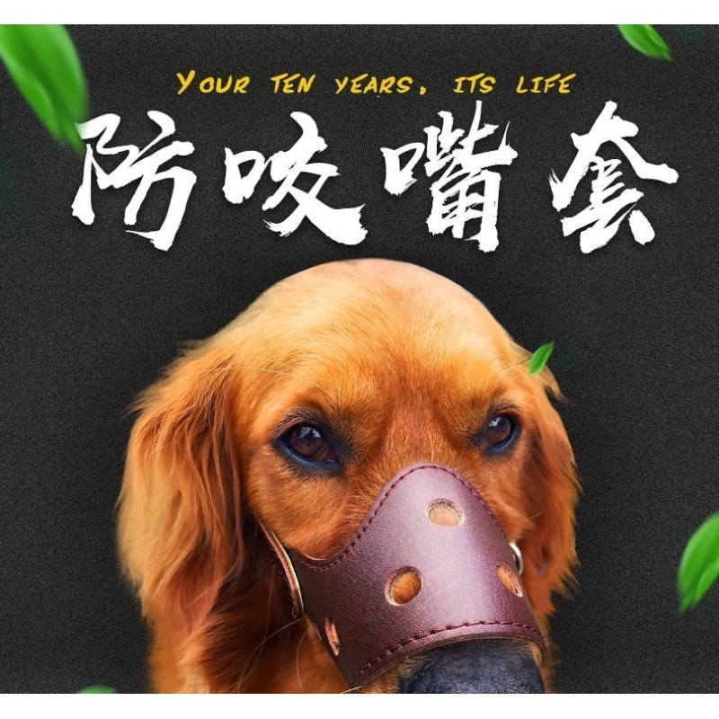 Drink plenty of water Muzzle Horses Dogs Mask Golden Retriever soft Having dinner Rab Lhatog Pets Dogsin the Home Daily , Protective Equipment , Masks category - from Buy2taobao.com to provide professional Taobao agent buy service