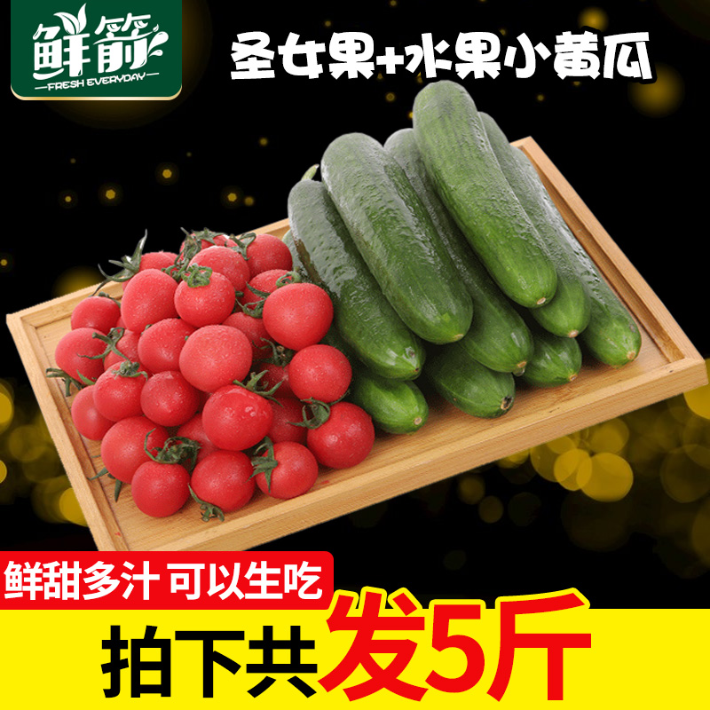 【鲜箭】新鲜采摘圣女果+水果小黄瓜5斤套餐新鲜农家自种清甜好吃|msdalam kategori daging perikanan/Buah-buahan segar dan sayur-sayuran/dimasak, sayur-sayuran segar/Vegetable Products, sayur-sayuran segar, 番茄 - dari Buy2taobao.com untuk memberikan perkhidmatan ejen Taobao profesional membeli