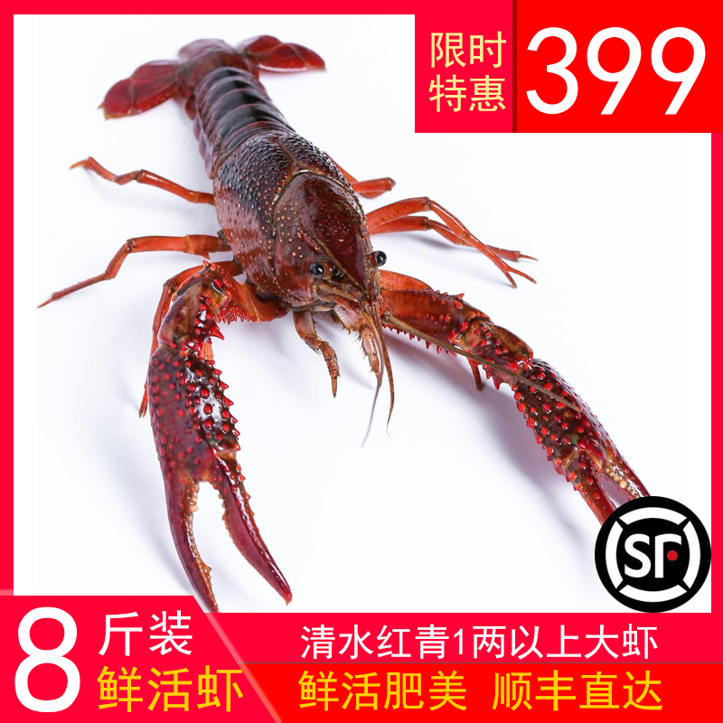 undefined8 Honghu Clear water 1 Above Red Green Crayfish Large Fresh freshundefinedin the Aquatic meat/Fresh fruits and vegetables/Cooked , Seafood/Aquatic/Product , Shrimp , Huoxia category - from Buy2taobao.com to provide professional Taobao agent buy service