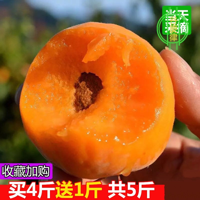 杏子新鲜水果孕妇大黄杏带箱5斤水果现摘现发包邮新鲜当季贵妃杏在类目 水产肉类/新鲜蔬果/熟食, 新鲜水果, 其它中 - 来自Buy2taobao.com提供专业的淘宝代购服务