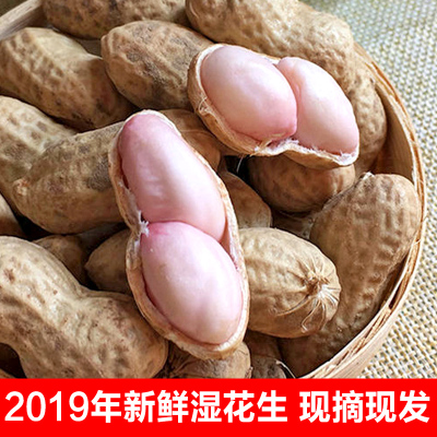 鲜花生粉衣新鲜带壳农家自种2019现挖现发4斤带箱装可水煮湿花生