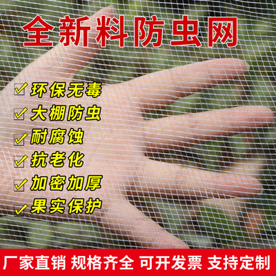 尼龙聚乙烯防虫网养殖网蔬菜大棚果树专用防虫网青蛙蝗虫围网加厚