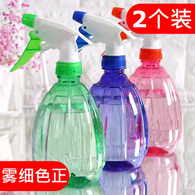 2个浇花喷壶小喷水壶园艺家用洒水壶气压式喷雾器小型压力喷雾瓶