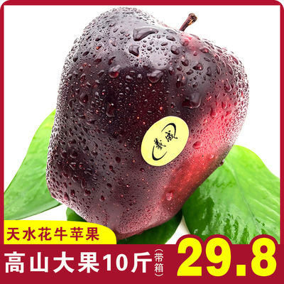【羲成】甘肃天水花牛苹果红蛇果粉面刮泥果带箱10斤 花牛苹果