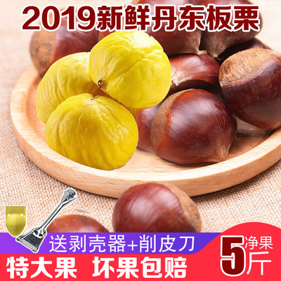 2019年丹东板栗生新鲜栗子带壳毛栗子新鲜农家现摘生栗子5斤装