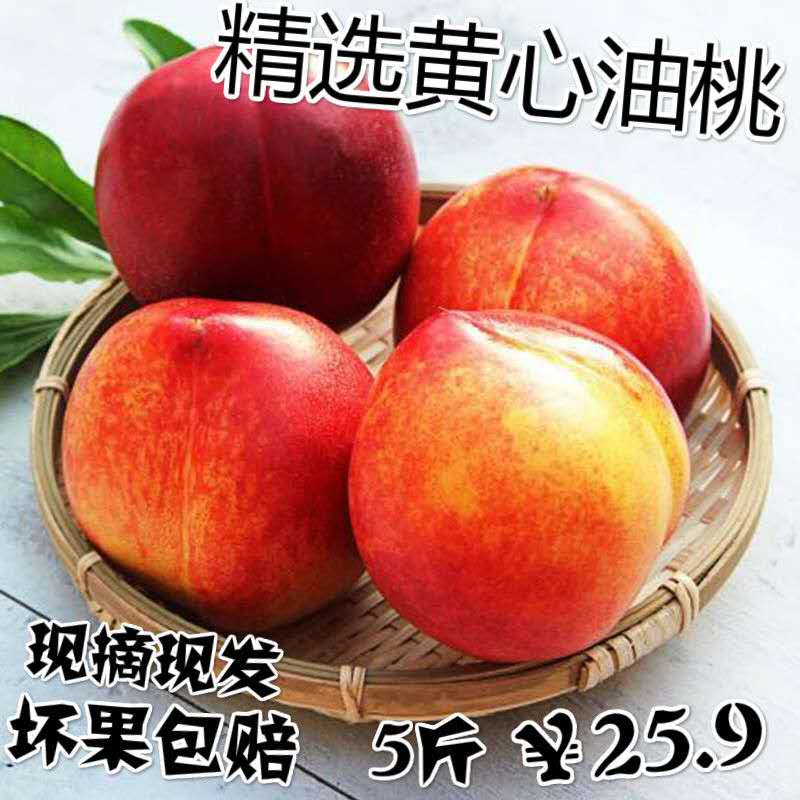 黄桃油桃非山东蒙阴黄金油桃新鲜水果现摘现发当季现货脆甜桃子在类目 水产肉类/新鲜蔬果/熟食, 新鲜水果, 桃中 - 来自Buy2taobao.com提供专业的淘宝代购服务