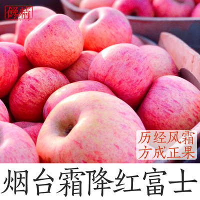 馋精 山东烟台霜降一级果红富士苹果当季水果新鲜脆甜净重5斤整箱
