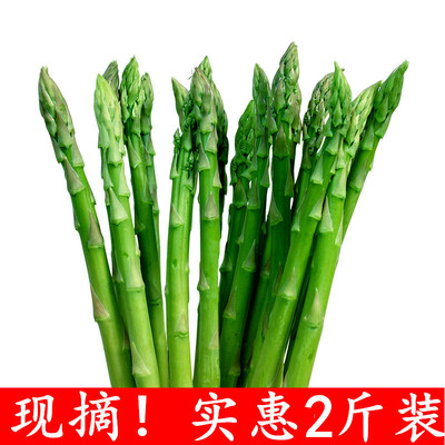 蔬菜之王无白根2斤装现摘嫩芦笋 新鲜芦笋新鲜蔬菜 龙须菜芦笋