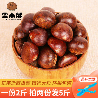 【栗小胖】大粒 正宗迁西板栗生新鲜野生燕山生栗子油栗毛甜板粟