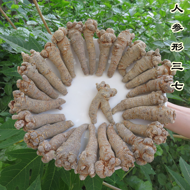 three seven Yunnan Wenshan Super ginseng three seven 20 head 30 Quality standard 500 Panax Notoginseng Powderin the Traditional nourishing food , Thirty-seven category - from Buy2taobao.com to provide professional Taobao agent buy service