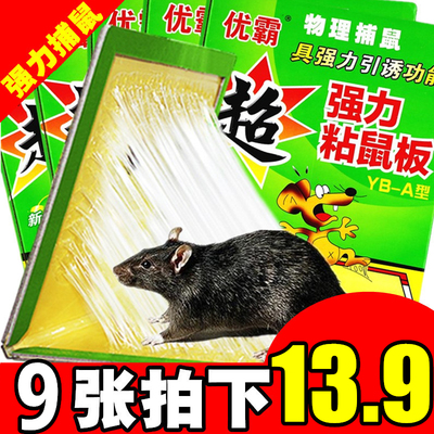 9张粘鼠板超强力粘板胶抓大老鼠贴夹笼药驱灭老鼠家用灭鼠捕鼠器