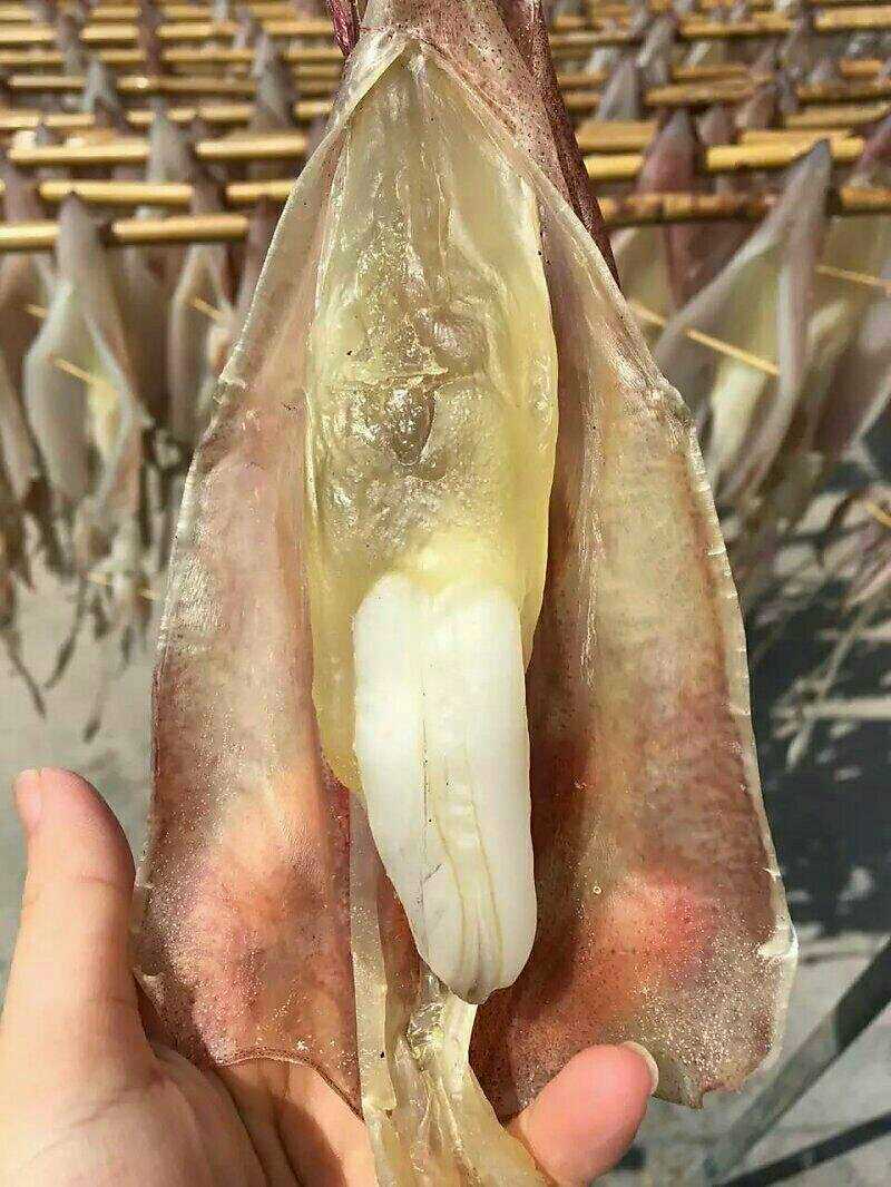 鱿鱼母 海钓鱿鱼干 煲汤养生|msdalam kategori daging perikanan/Buah-buahan segar dan sayur-sayuran/dimasak, makanan laut/produk akuatik/produk, sotong, sotong kering - dari Buy2taobao.com untuk memberikan perkhidmatan ejen Taobao profesional membeli