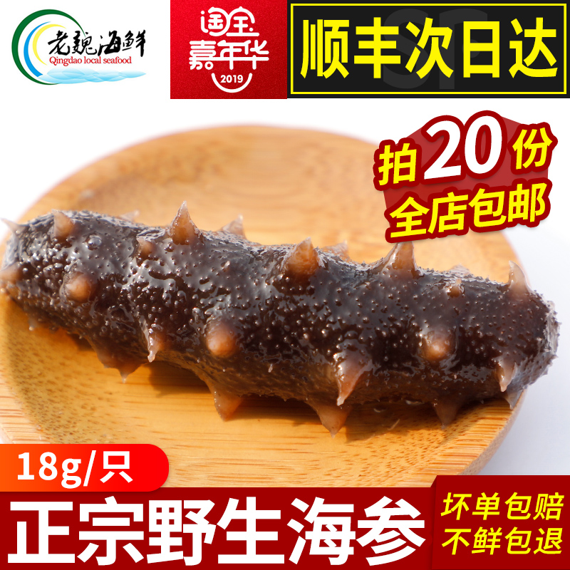 即食海参 单个装深海野生刺参辽 渗高压工艺海鲜18g/只 20只包在类目 水产肉类/新鲜蔬果/熟食, 海鲜/水产品/制品, 海参中 - 来自Buy2taobao.com提供专业的淘宝代购服务