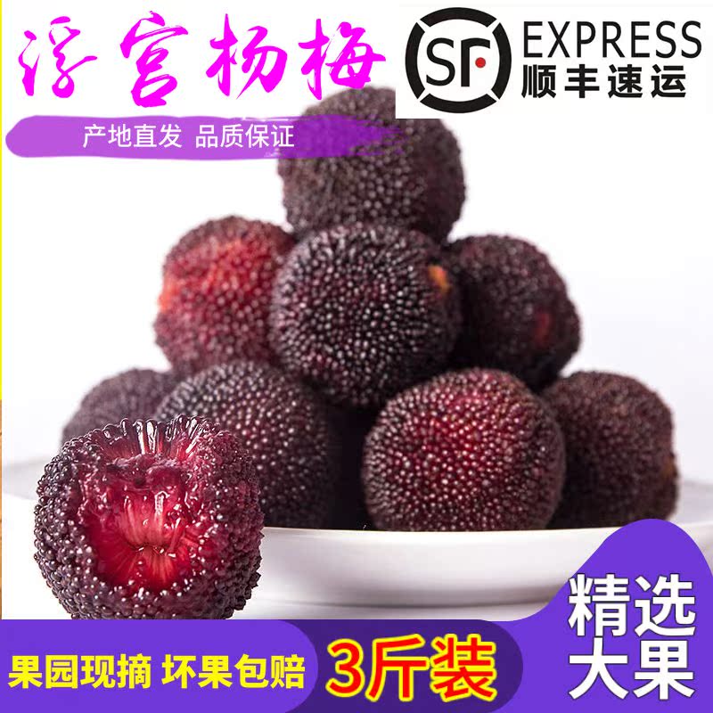 顺丰空运3斤装现摘新鲜福建浮宫杨梅 现货杨梅非仙居东魁冰冻杨梅|msdalam kategori daging perikanan/Buah-buahan segar dan sayur-sayuran/dimasak, buah-buahan segar, lain - dari Buy2taobao.com untuk memberikan perkhidmatan ejen Taobao profesional membeli